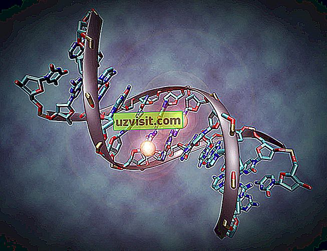 후성 유전학 - 과학
