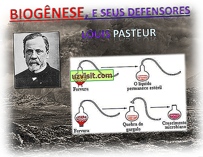 biogenesi - scienza