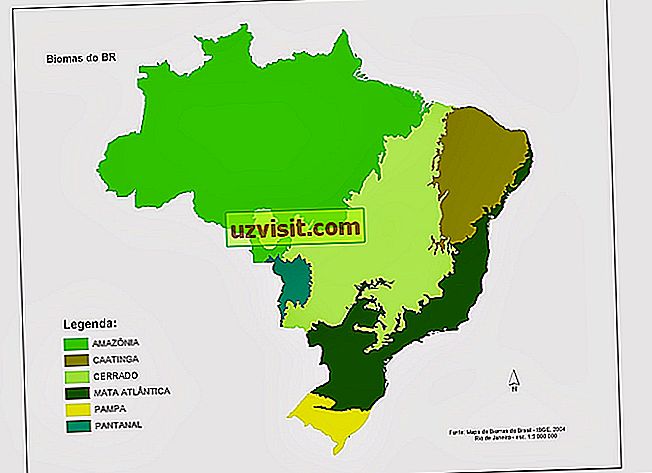Brazilský Biomes - vědy