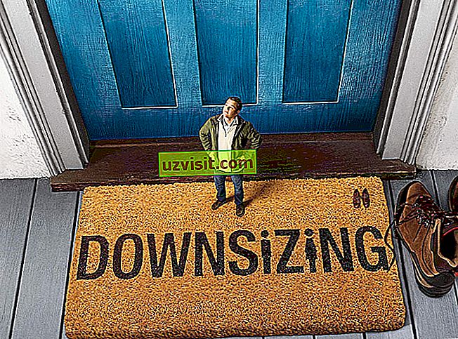 downsizing - udtryk på engelsk