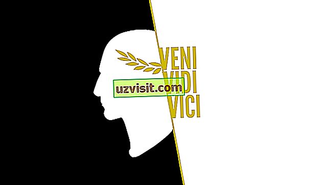 Veni, Vidi, Vici - Latinské výrazy