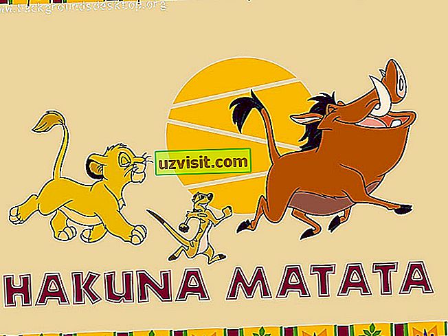 Акуна матата на английском. Акуна Матата плакат. Акуна Матата Африка. Акуна Матата фразы. Духи Акуна Матата.