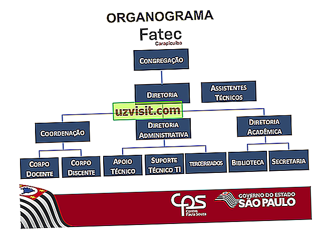 Organizacijski grafikon