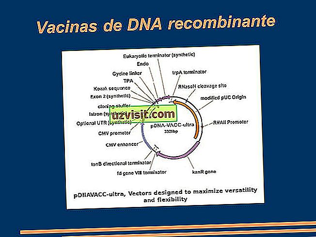 DNA ricombinante - medicina