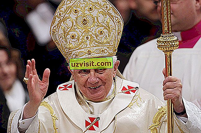 Paavst - usuline